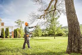 Best Tree Disease Treatment  in Dunkirk, IN