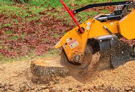 Reliable Dunkirk, IN Tree Care Solutions